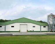  Csirke farm - Magyarország